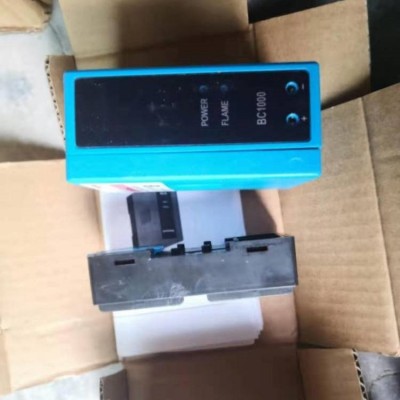 Flame switch BC1000A0220U/E